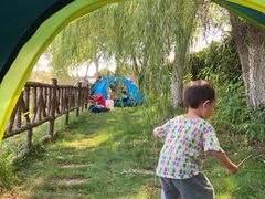 -武汉紫薇都市田园