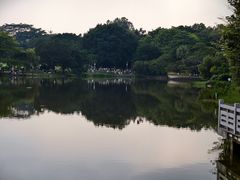 -东莞植物园
