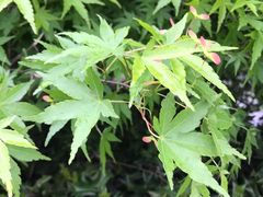 -天鹅湖体育公园