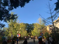 -东西巷