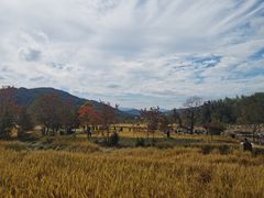 -塔川景区