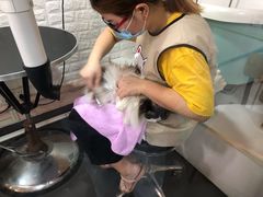 -十年猫舍·猫咪专门店(普陀店)