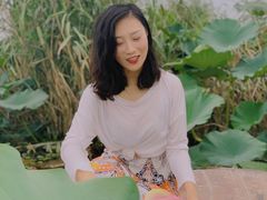 -白洋淀景区