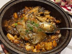 -海派美食·家宴海鲜青岛菜·石锅鲽鱼头(东方城店)