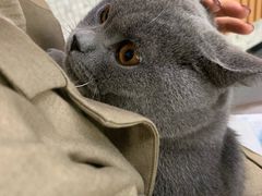 -联合动物医院(光谷诊疗中心)