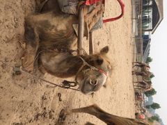 iphone_upload_pic-古柏渡飞黄旅游区