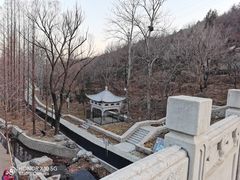 -白水寺森林公园