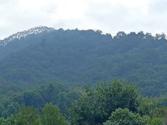 -林丰温泉度假山庄