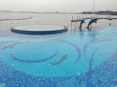 iphone_upload_pic-苏州金鸡湖中茵皇冠假日酒店