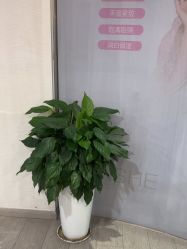 -安徽合肥韩美整形外科医院