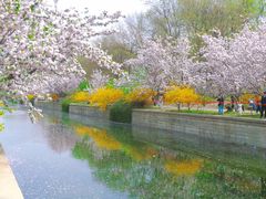 -元大都城垣遗址公园