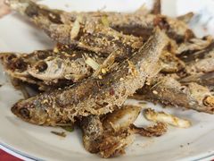 -芦茨金富饭庄·25年老字号·专做稻草鸡