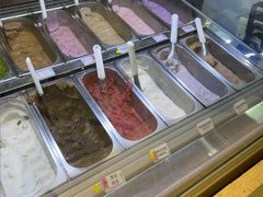 -鹤茶野所(上海首店)