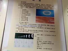 -武汉达临性学生命文化博物馆