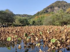 -八卦田遗址公园