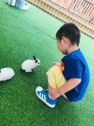 -萌宠亲子动物乐园(槐房万达店)