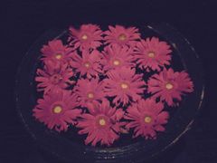 android_upload_pic-花马天堂云南餐厅 Lost Heaven(高邮路店)