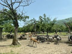 -西安秦岭野生动物园