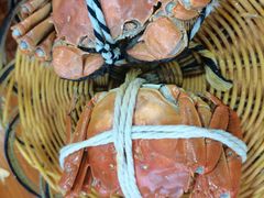 -蟹天蟹地农家菜·阳澄湖大闸蟹(浅水湾店)