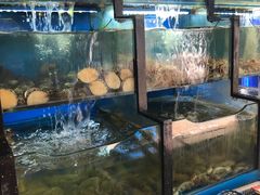 水产区-老东镇啤酒屋海鲜加工·蒸汽海鲜·海鲜烧烤(台东店)