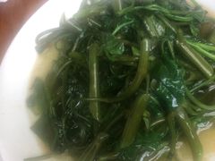 -茅屋大酒店