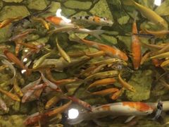 -泉城欧乐堡戏水湾艺术养生温泉