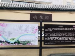 -桃花堤公园