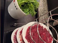 -八合里潮汕鲜牛肉火锅(上海汇智广场店)