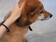 -NOTBAD 须时·咖啡馆