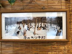 -宫城藏王狐狸村