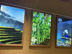 -七步香云南山里菜(昆明老街店)