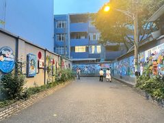 -泡桐树街