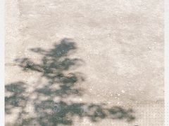 -都江堰普照寺