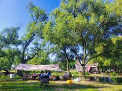 -上海共青森林公园