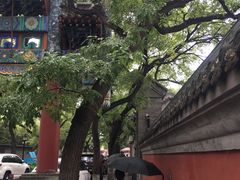 -北京国子监胡同