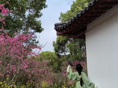 -南汇桃花村