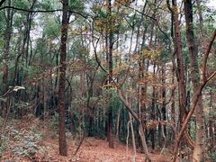 -喻家山
