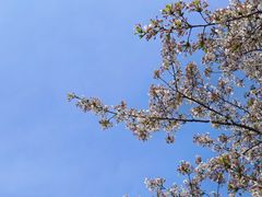 -南京市江宁方山