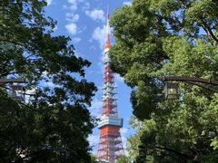 -东京塔海贼王主题公园