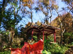 -广州市石门国家森林公园