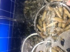 -阿杰臻选海鲜饭店(普陀山店)