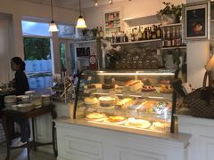-Fern Forest Cafe