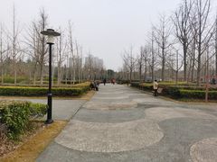 -黄兴公园