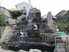 -大岭沟猕猴桃谷风景区