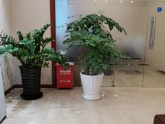 -中国建设银行(宜山路支行)
