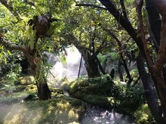 -Chom Cafe and Restaurant