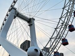 -天津之眼摩天轮