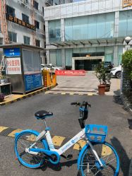 -静园瑜伽