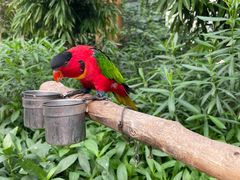 -南宫五洲植物乐园