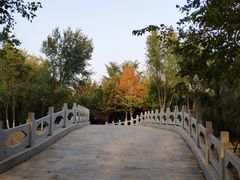 -塘沽森林公园